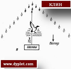 Схема расстановки чучел уток