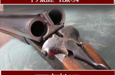 Ружьё ИЖ-54. Характеристика и особенности охотничьего ружья