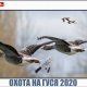 Незабываемая охота на гуся 2020. Видео с долгожданными моментами